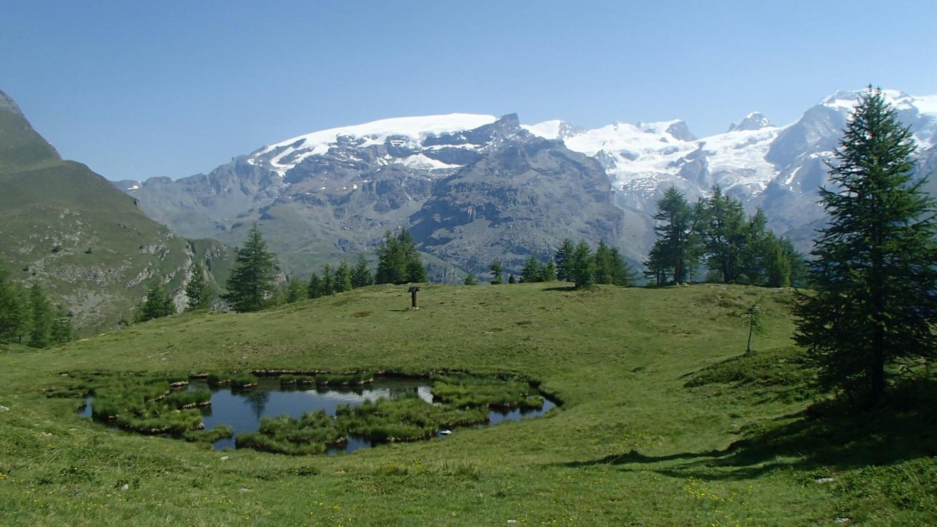 Champoluc Apartment エクステリア 写真